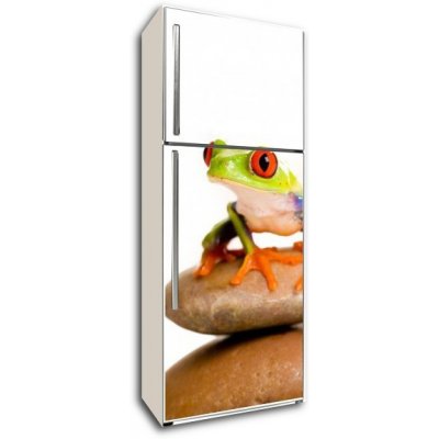 WEBLUX 30553672 Samolepka na lednici fólie Red Eyed Tree Frog Red Eyed Tree žába rozměry 80 x 200 cm – Zbozi.Blesk.cz