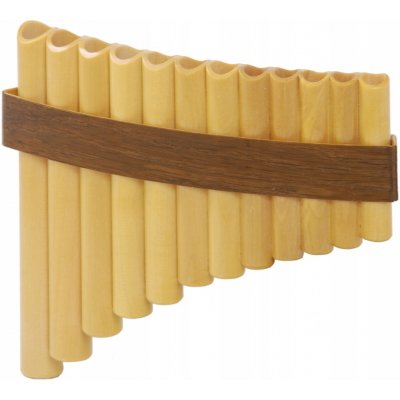 Gibonus Student Pan Flute FP 12 – Zboží Dáma