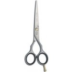 Jaguar nůžky PRE STYLE ERGO P 5,5" – Zboží Dáma