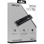 PNY CS1030 250GB, M280CS1030-250-RB – Zboží Živě