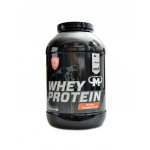 Mammut Nutrition Whey Protein 3000 g – Hledejceny.cz