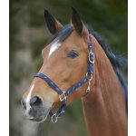 WALDHAUSEN Stájovka Little Horse tmavě modrá – Zboží Mobilmania