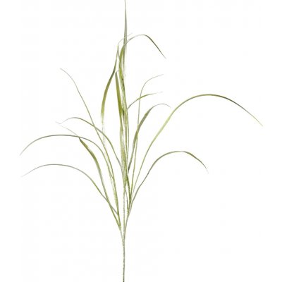 GASPER Tráva zeleno-stříbrná 106 cm – Hledejceny.cz