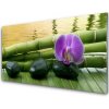 Obraz akrylový obraz Květ Kameny Bambus Příroda 100x50 cm
