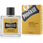 Proraso Wood & Spice balzám na vousy 100 ml – Hledejceny.cz