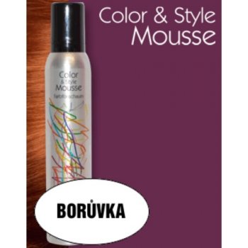 Omeisan Color & Style Mousse tužidlo borůvka 200 ml