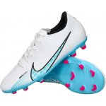 Nike Vapor 15 Club FG/MG DJ5963-146 – Hledejceny.cz