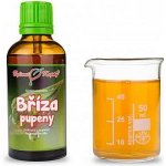 Bylinné kapky Bříza pupeny tinktura 50 ml – Hledejceny.cz