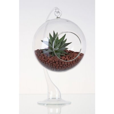 DT GLASS Závěsná silnostěnná skleněná koule pro rostlinu na stojánku - AERÁRIUM