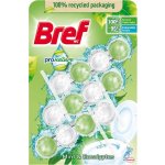 Bref Power Activ WC blok Mint Eucalyptus 3 x 50 g – Sleviste.cz