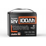 HumsiENK 12 V 100 Ah – Zbozi.Blesk.cz
