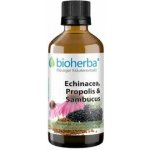 Bioherba Echinacea, propolis a baza čierna tinktúra 50 ml – Hledejceny.cz