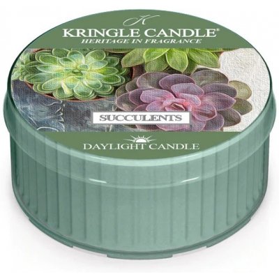 Kringle Candle Succulents 35 g – Zboží Mobilmania