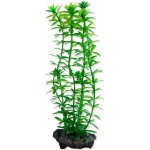 Tetra Anacharis 15 cm – Sleviste.cz