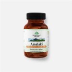 Organic India Amalaki antioxidant s přírodním vitaminem C 60 kapslí – Hledejceny.cz
