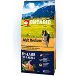 Ontario Adult Medium Lamb & Rice 12 kg – Hledejceny.cz