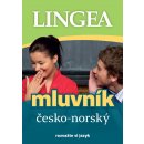 Česko-norský mluvník