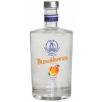 Palírna u Větrného Mlýna Meruňkovice 50% 0,5 l (holá láhev) – Zboží Dáma