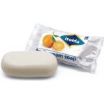 Isolda krémové pevné mýdlo Fruit 100 g – Zboží Mobilmania