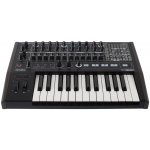 Arturia MiniBrute 2 Noir – Zbozi.Blesk.cz