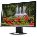 Monitor Asus VW198S