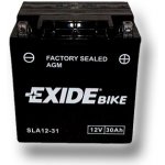 Exide AGM12-31 | Zboží Auto