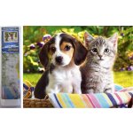 Norimpex Diamantové malování Kamarádi v košíku 30 x 40 cm – Sleviste.cz