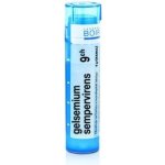 GELSEMIUM SEMPERVIRENS POR 9CH GRA 1X4G – Hledejceny.cz