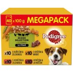 Pedigree pro dospělé psy s hovězím ve šťávě 40 x 100 g – Hledejceny.cz