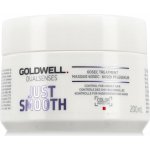 Goldwell Dualsenses Just Smooth 60sec Treatment 200 ml – Hledejceny.cz