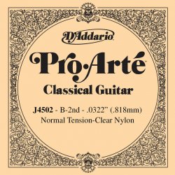 D'Addario J 4502