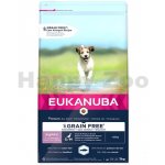 Eukanuba Puppy & Junior Small & Medium Grain Free Ocean Fish 3 kg – Sleviste.cz