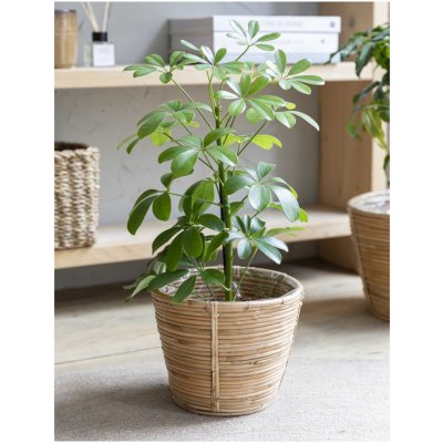 Ratanový obal na květináč Mayfield 20 cm Garden Trading – Hledejceny.cz