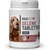Vitamíny pro psa Reavet Kloubní tablety pro seniory pro novou radost z pohybu 120 kapslí