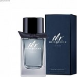 Burberry Mr. Burberry Indigo toaletní voda pánská 100 ml – Hledejceny.cz