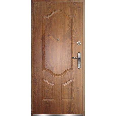Radex Vchodové ocelové dveře Bergamo 205 x 97 cm P - zlatý dub