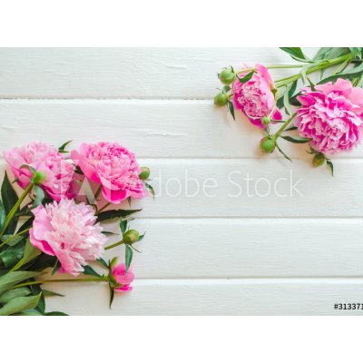 WEBLUX 313371368 Fototapeta plátno Pink peony flowers on white wooden table. womans day or wedding background. Top view. Květy růžové pivoňky na bílém dřevěném stole. Z rozměry 330 x 244 cm – Zboží Mobilmania