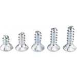 Kunzmann Šrouby do vázání Binding Screws Alpin 100 kusů 5,5 x 18 mm – Sleviste.cz