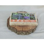 Sphagnum moss Rašeliník z Číny 200g – Sleviste.cz
