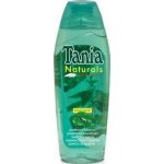 Tania Naturals kopřivový šampon 1000 ml – Hledejceny.cz
