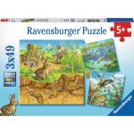 Ravensburger Zvířátka ve svých domovech 3 x 49 dílků – Zboží Dáma