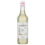 Monin Ginger 1 l – Zboží Mobilmania