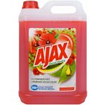 Ajax Floral Fiesta univerzální čistící prostředek s vůní vlčích máků 5 l – HobbyKompas.cz