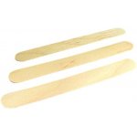 ZARYS ústní lžička dřevěná 100 ks – Hledejceny.cz