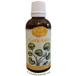 Serafin Gotukola tinktura z pupenů 50 ml – Hledejceny.cz