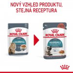 Royal Canin Hairball Care 12 x 85 g – Hledejceny.cz