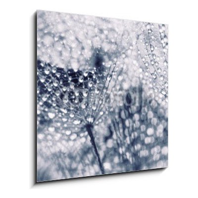 Obraz 1D - 50 x 50 cm - Plant seeds with water drops Semena rostlin s vodními kapkami