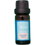 Venoc Esenciální olej Fenykl 10 ml – Hledejceny.cz