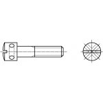 PROFISTYL DIN 404 plombovací šroub s válcovou hlavou, průběžnou drážkou a otvory v hlavě pozink Varianta: DIN 404 plombovací šroub s otvory v hlavě ZB M05x012 – Zboží Mobilmania