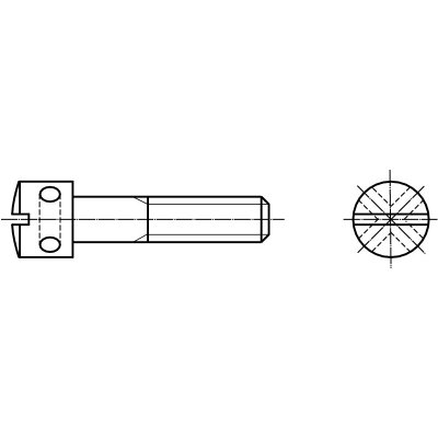 PROFISTYL DIN 404 plombovací šroub s válcovou hlavou, průběžnou drážkou a otvory v hlavě pozink Varianta: DIN 404 plombovací šroub s otvory v hlavě ZB M04x010 – Zboží Mobilmania